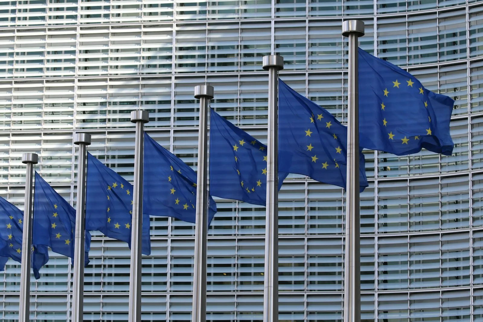 European Union flags outside a government building